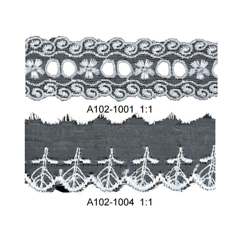 A102-1001
