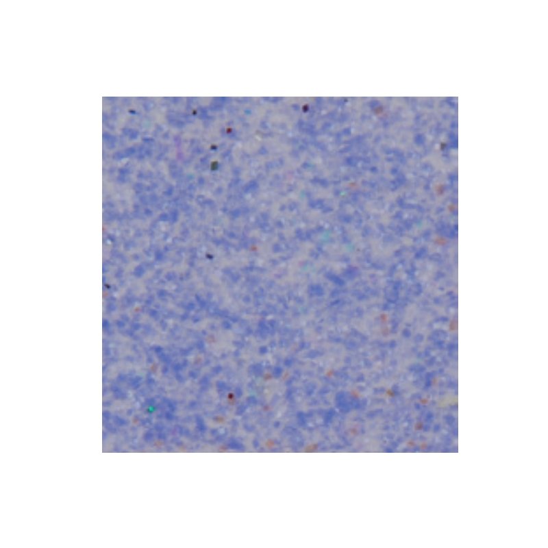 Glitter Powder A45-249 – Beads, Flakes, Stones & Chains supplied by Liberty Port from Ningbo, China